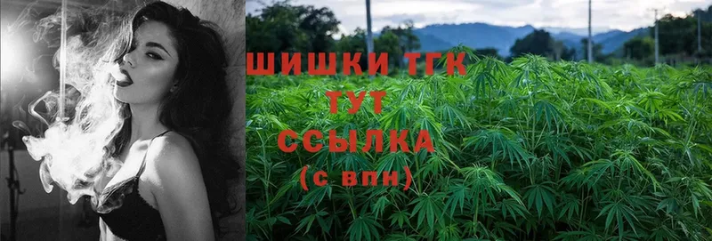 Каннабис OG Kush  Камышин 